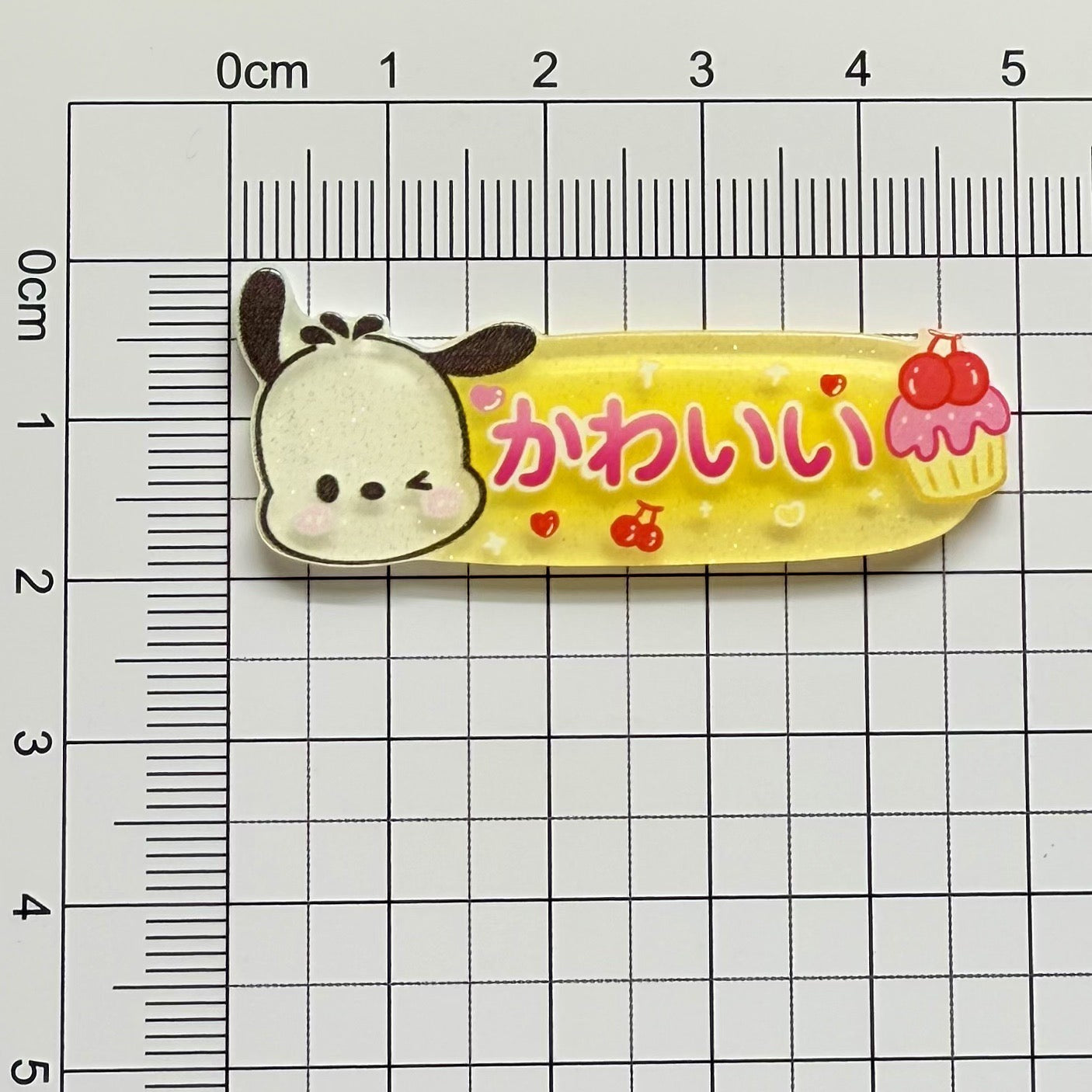 Sanrio Acrylic Patch