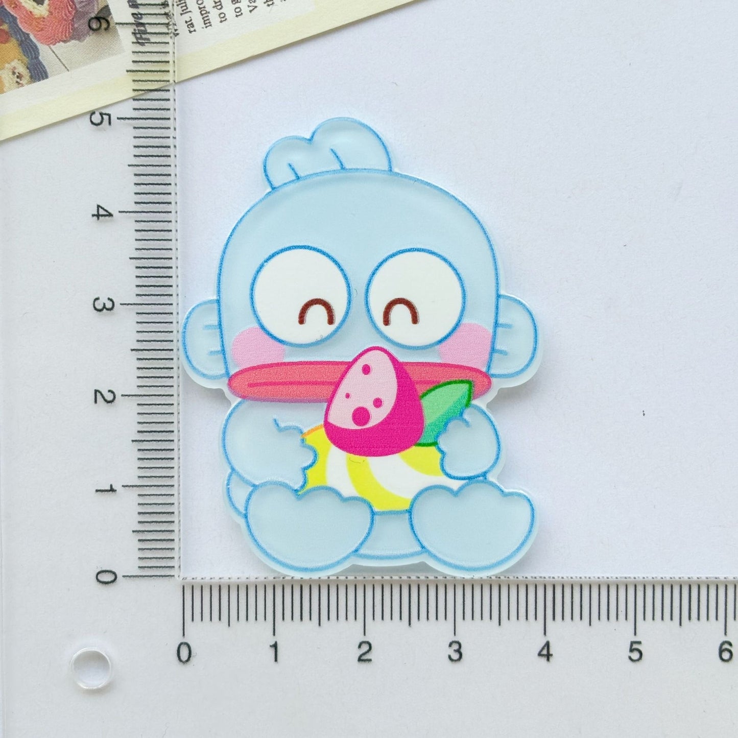 Sanrio Acrylic Charm