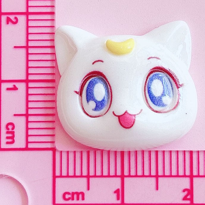 Sailor Moon Charm