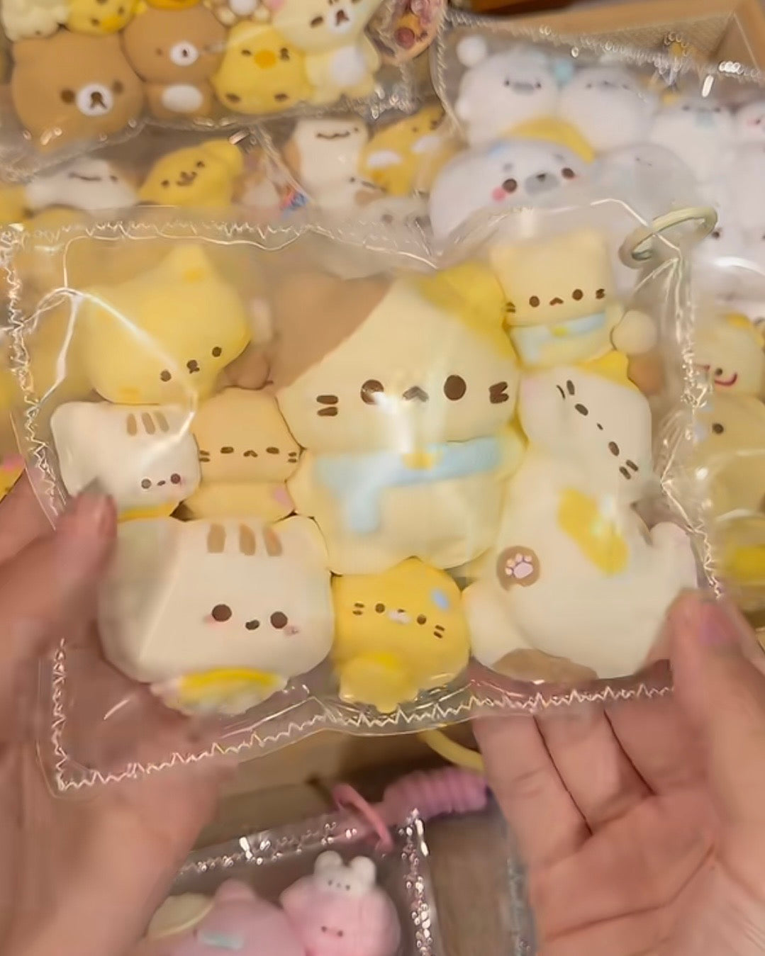 Cat Multi-Pack Squishy Toys